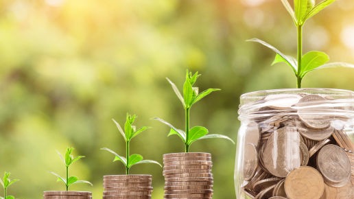 Financiación pública