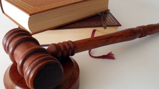 Pruebas periciales y forenses